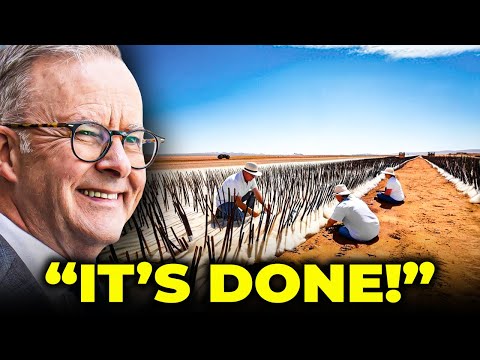 AUSTRALIA Buries Tons Of Sheep Wool Under Dead Land After 3 Months, The Results Are CRAZY