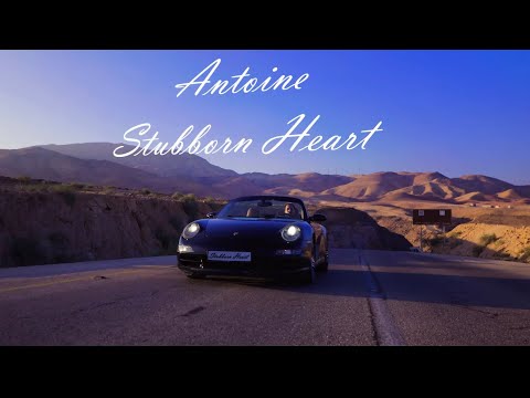 Antoine - Stubborn Heart (Official Music Video)