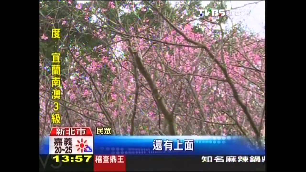 賞櫻路摔車多 設「鐵馬驛站」便民