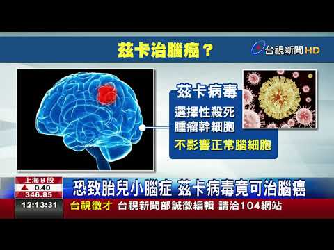 恐致胎兒小腦症茲卡病毒 竟可治腦癌