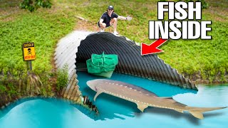 TUNNEL FISH TRAP Catches Tons Of FISH To Stock My 4000 Gallon POND!