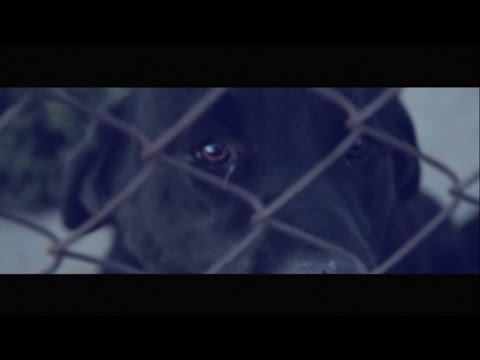 KEIBI & STIFFZY - MI ESTRELLA