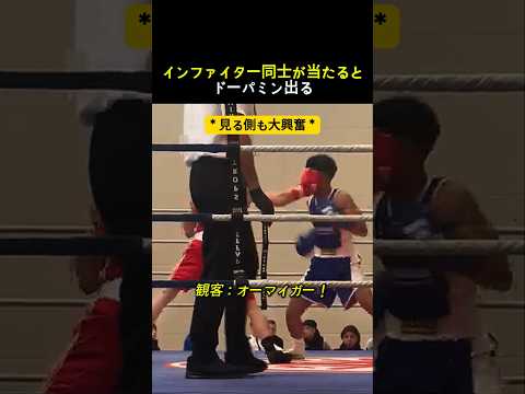 インファイター同士が当たるとこうなる #ボクシング