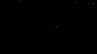 Adam Riding the Cock.