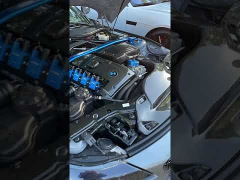 My favorite BMW Z4 build! #bmwz4 #shorts