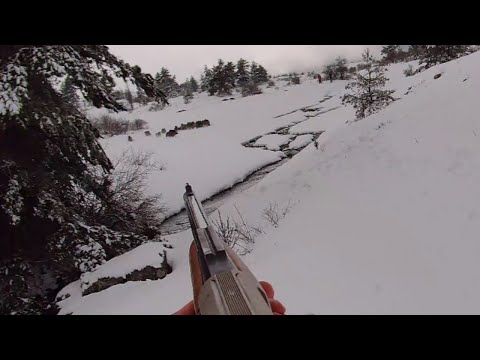 ACTION-PACKED PIG HUNT SHOOTING MOMENTS / 2024 ACTION-PACKED PIG HUNT