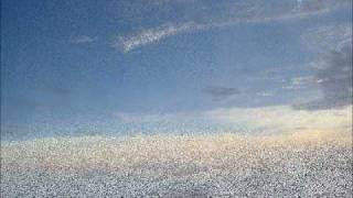 Try Some Buy Some (George Harrison)