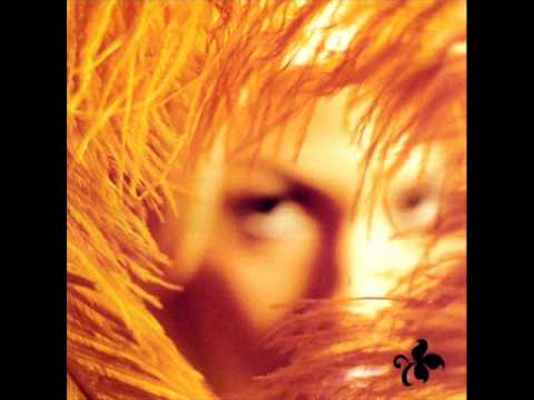 Stone Temple Pilots - Bi-Polar Bear