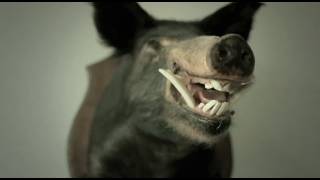 Jack&#39;s Mannequin - Television (People and Things Short Film)