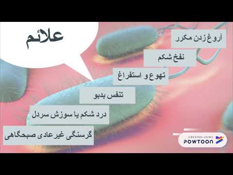 مطب نیماد - هلیکوباکتر پیلوری