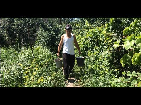 Բիձա/Bidza - Երբ արձակուրդներին չես գնացել հանգստանալու / Խենթ ուսուցչուհին 15