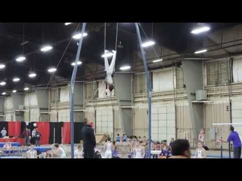 Blaine Wilson Level 7   Rings