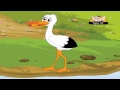 Animal Sounds In Gujarati Stork