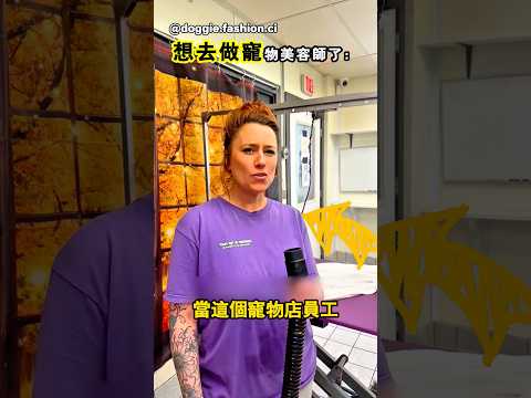狗狗美容院發生的事太搞笑了