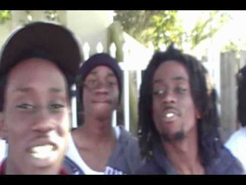 Chip The Fly Guy - Swag Flu