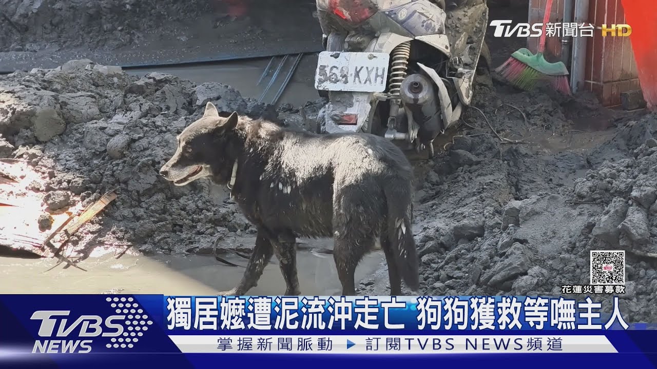 馬鞍溪泥流奪命!獨居嬤救狗不幸罹難 陽交大退休教授失聯 家屬急尋