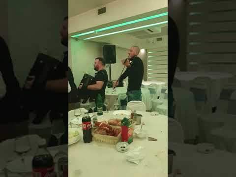 DUSAN SPASOJEVIC// BORKO RADIVOJEVIC I TIGROVI