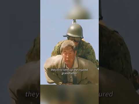 Dog dad fights brown bear for four leopard cubs!