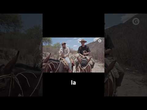 Buscando nueces en 📍Londres #catamarca #ruta40