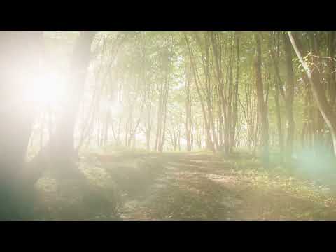 Folklore | Ardie Son