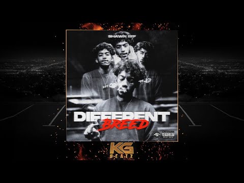 Shawn Eff ft. Mike Sherm, DaBoii, EBK Young Joc, MGM Flash - Hottest Out [New 2020]