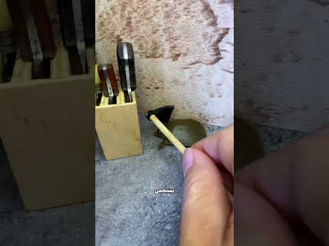 السلحفاة رفضت الاستحمام قبل الملاهي… ومامتها اتعصبت! 😳