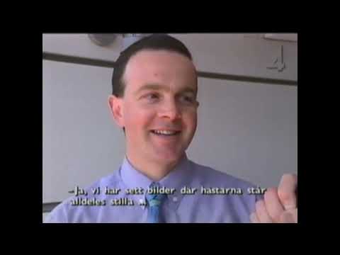 Elitloppet 1996 - 1996-05-26.