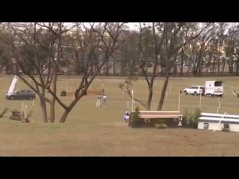 2015.11.01 Wild Kodiak (Codi) Polo International Horse Trials CIC1* XC3