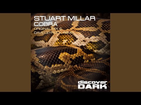 Cobra (Dave Leyrock Remix)