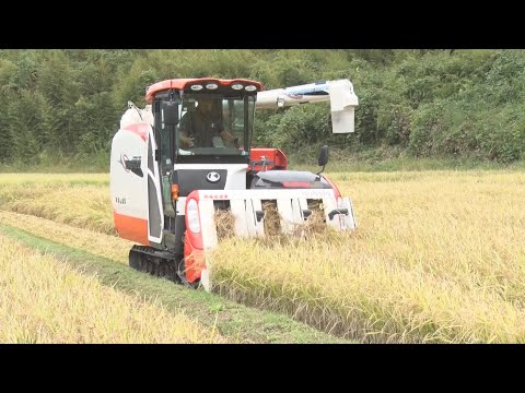  2024年2月に作付けするには、気候変動のため作物を再考する必要がある  庭園