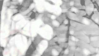 Prophecy - Black Magic