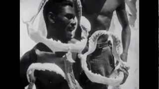 Cocteau Twins &amp; Harold Budd - Sea, Swallow Me