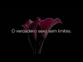 «Pede-me o que quiseres» de Megan Maxwell