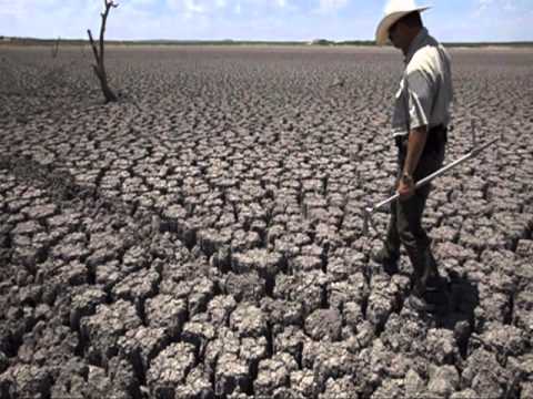 LA GUACHARACA VIAJERA. (Del mas reciente álbum discográfico de Pedro Luis Gómez)