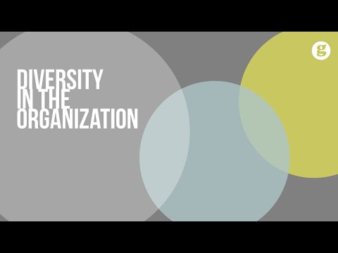 Diversity in the Organization