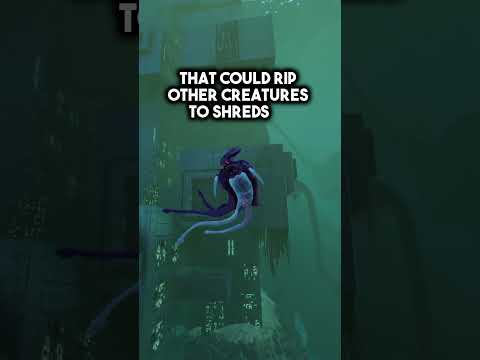 The Secrets Hidden By The Warper