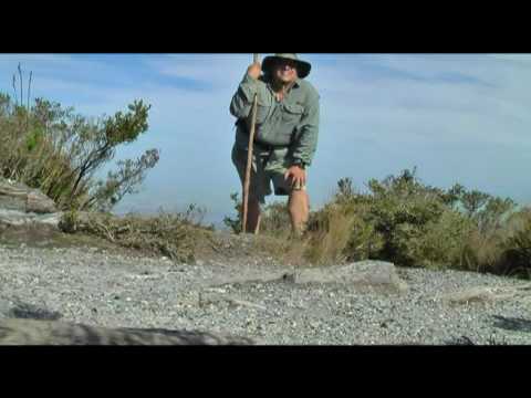 Buff Knoll (Australia 4)