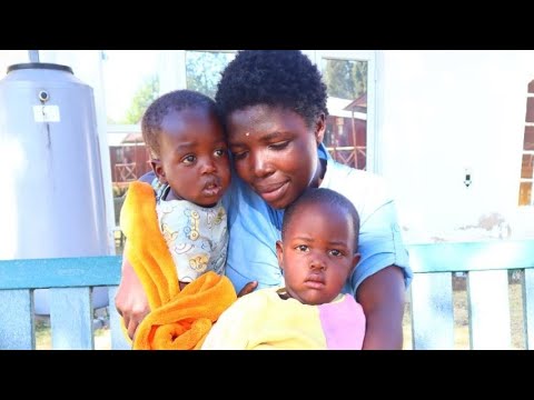 Phase 2: Let's put up their home!