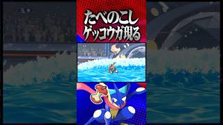 残飯もったゲッコウガ現るwww #ポケモンチャンピオンズ  #ゲッコウガ #TUBチャンネル #メガシンカ #ゲーム実況 #ポケモン #ポケチャン #チャンピオンズ #ウルガモス