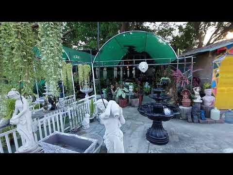 Thailand 2021 - 15. Dezember - Blumen kaufen Hua Hin