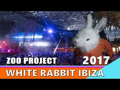 Zoo Project Closing Party 2017 White Rabbit DJ