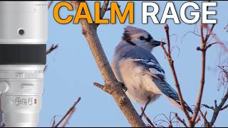 Wildlife is FRUSTRATING so Try This