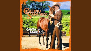 El General y el Sargento (Mariachi)