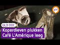 Het mysterie van Café L'Amérique in Arnhem #2 | GLD doc