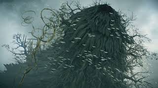 【２周目】周回StartMovie【Demon's Souls】