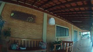 PARDO 018
