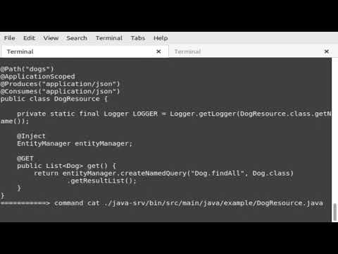 Programming Java Maven Quarkus H2 Api