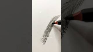 Download lagu How to draw eyebrows EASY 🤨 #art #drawing #drawingtutorial #howtodraw #dqueenarts mp3