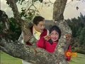 Chittukkuruvi Mutham Puthiya Paravai