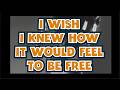 I Wish I Knew How it Would Feel to be Free | Nina Simone